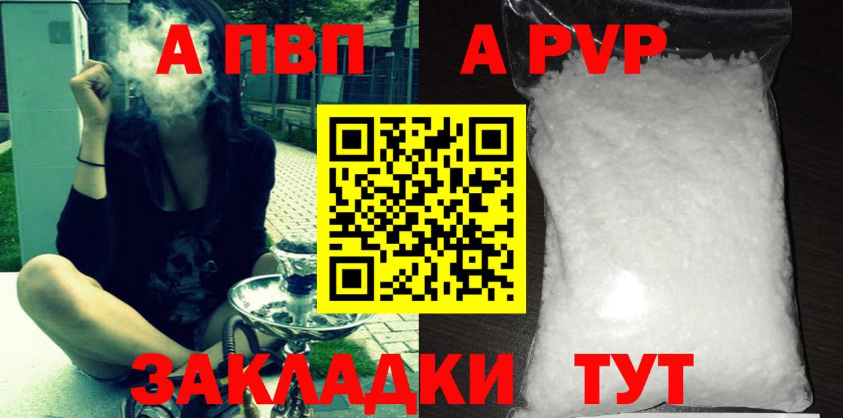 Альфа ПВП СК КРИС Кизилюрт