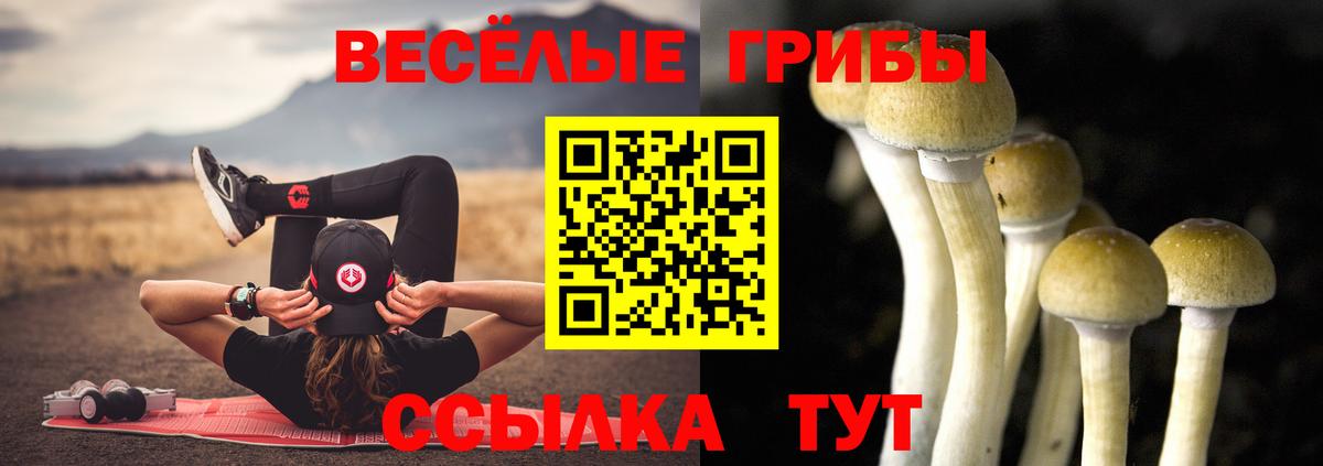 Кизилюрт  Псилоцибиновые грибы ЛСД  Вход с VPN 