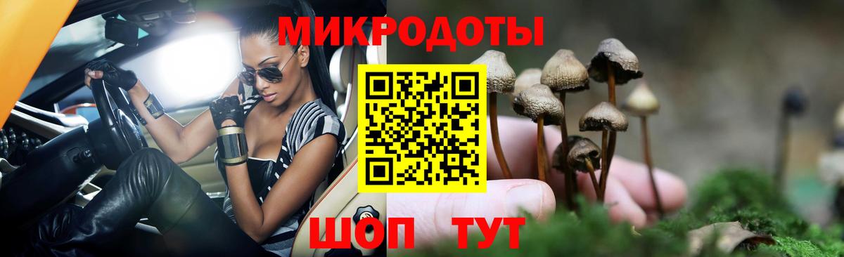 Псилоцибиновые грибы Psilocybe Кизилюрт
