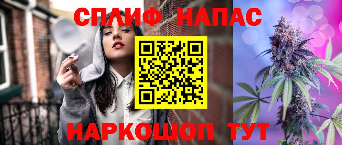 Каннабис сатива Кизилюрт